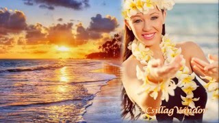 Saragossa Band - Buona Sera