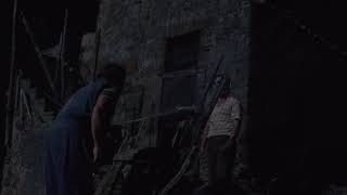 Lazzaro Felice scene 2 video