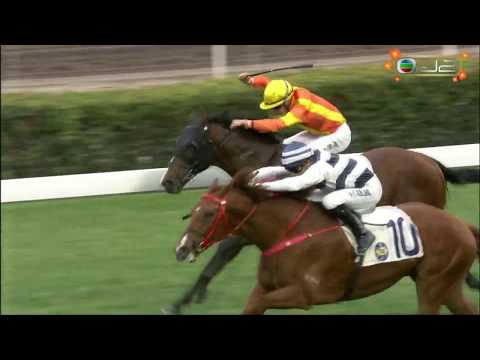 2019/20 (390) - Butterfield (勇猛神駒) - 利敬國