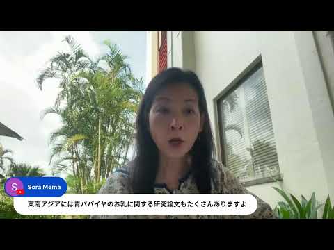 医療ビジネス薬科学科 長寿の鍵？琉球ハーブを解説