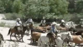preview picture of video 'Cattle round up in the Gila Wilderness, New Mexico with Hidden Trails'