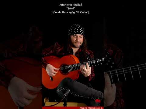 Solea Amir John Haddad Short