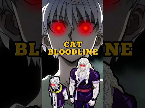 The Zoldyck Family Came From The Dark Continent? #hunterxhunter #hxh #zoldyck #zoldyckfamily #anime