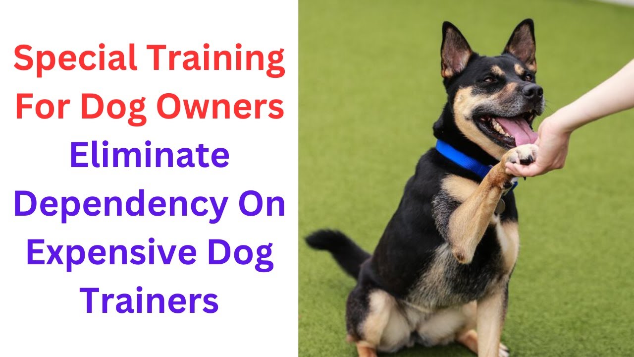 What is the coldest it has ever been in San Diego? Tipseri