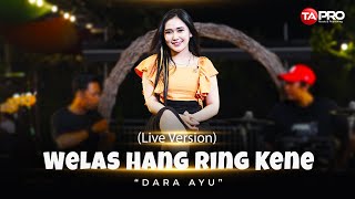 Download Lagu Gratis