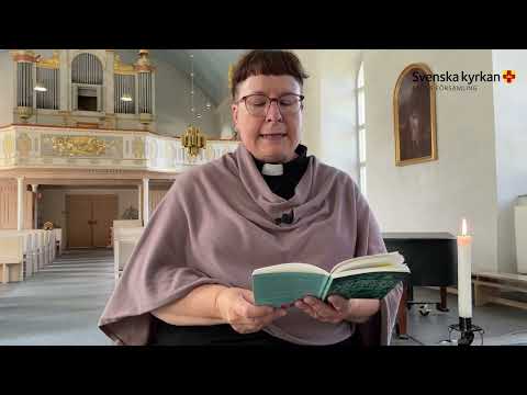 Tankar inför söndagen om snigeln och långsamheten