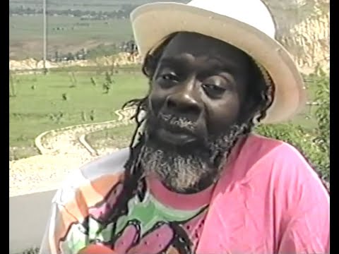 Calypso Showcase Black Stalin