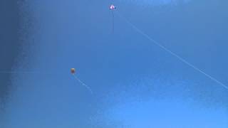 Jeremiah &amp; Joseph Kite Flying