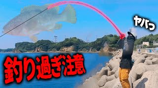 【釣り】根魚を100％釣る方法を教えます。《※乱獲注意》