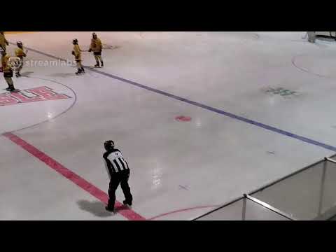 HC Wisle vs. SC Bern Future U 15 Top