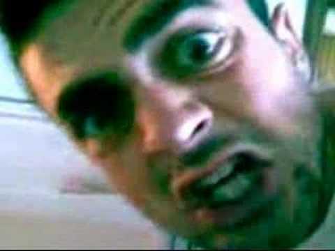 Rott3n vs Ralph the Heineken's dog (www.rott3n.com)