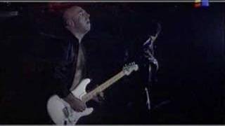 Iris - Floare de iris