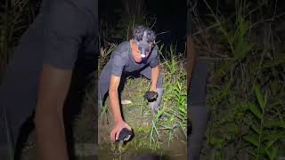 Download lagu Berpetualang di hutan kalimantan part 1 mp3