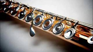 Edgar Varese - Density 21.5