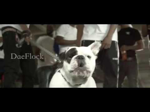 DaeDaeFlock - Who Run It (G Herbo Freestyle)