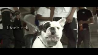 DaeDaeFlock - Who Run It (G Herbo Freestyle)