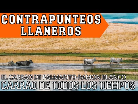 CARRAO DE TODOS LOS TIEMPOS - CONTRAPUNTEOS  - EL CARRAO DE PALMARITO Y RAMON BLANCO - ICRecords
