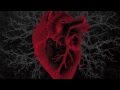 The Stompcrash - LOVE from HELL Teaser 