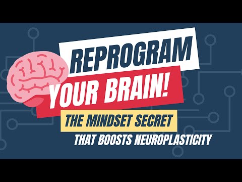 Unleashing Your Brain's Potential: The Power of Growth Mindset and Neuroplasticity