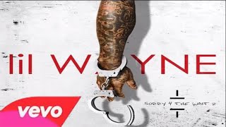 Lil Wayne - Drunk In Love ft Christina Milian