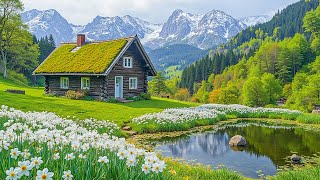 Успокаивающая музыка расслабляет душу и сердце 🌿 Музыка для снятия стресса, целебная музыка