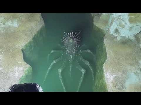 Mysterious Discoveries Made In The Black Sea