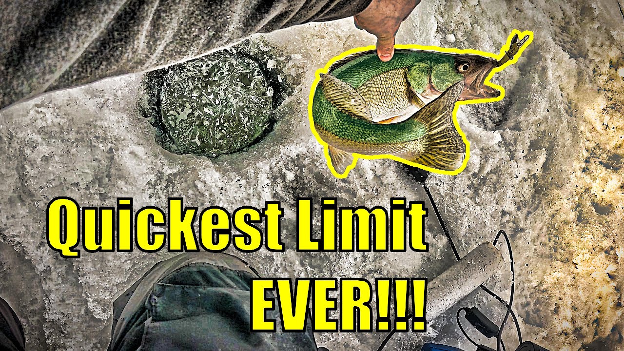 Lake Winnipeg is ON! Big Shallow Walleye - A thrilling ice fishing adventure chasing hungry walleye.