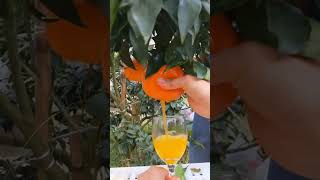 Orange Juice fresh #music #art #drawing #fruit #gaming #farming #puzzle #satisfying #anakmamapapa