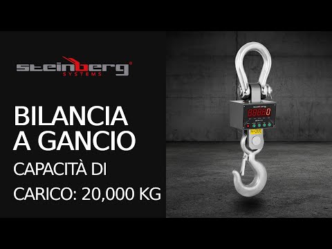 Video - Seconda Mano Bilancia a gancio - 20.000 kg / 5 kg