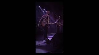 The Falcon War of Colossus Live