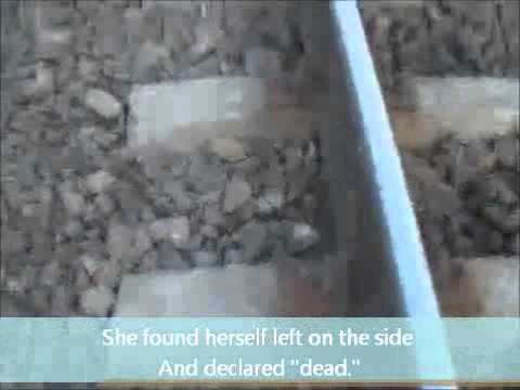 Linia Moarta de Marin Sorescu