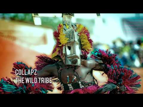 Collapz - The Wild Tribe (ON SPOTIFY!)