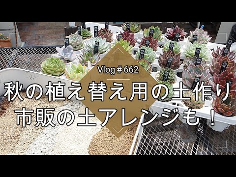 この春、多肉植物の植え替えはいつ頃できるでしょうか？植え替えを成功させるための重要なステップ  庭園
