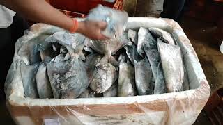 Seafood Business | Kolkata Fish Wholesale Market | Fish Business #fishexportandimport #fishbusiness