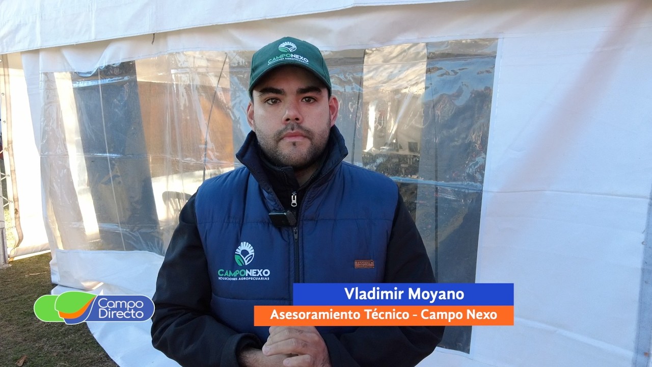 Campo Directo | Campo Nexo acompañó a productores hortícolas cordobeses