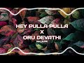 HEY PULLA PULLA X ORU DEVATHAE || trending Instagram Remix song || reels #instagram #trending
