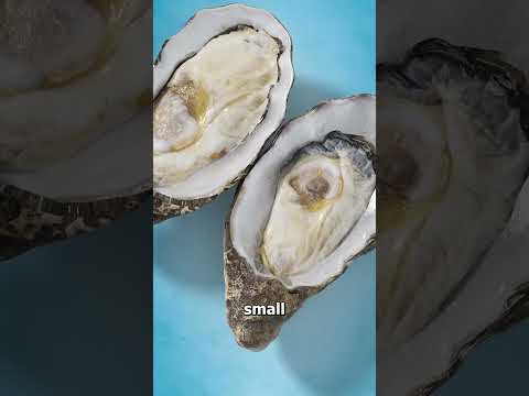 How Do Oysters Make Pearls? 🤔
