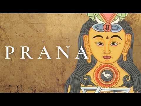 What is Prana? ✨ How to Increase It