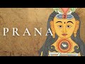 What is Prana? ✨ How to Increase It