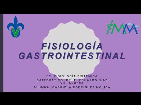 Fisiología gastrointestinal