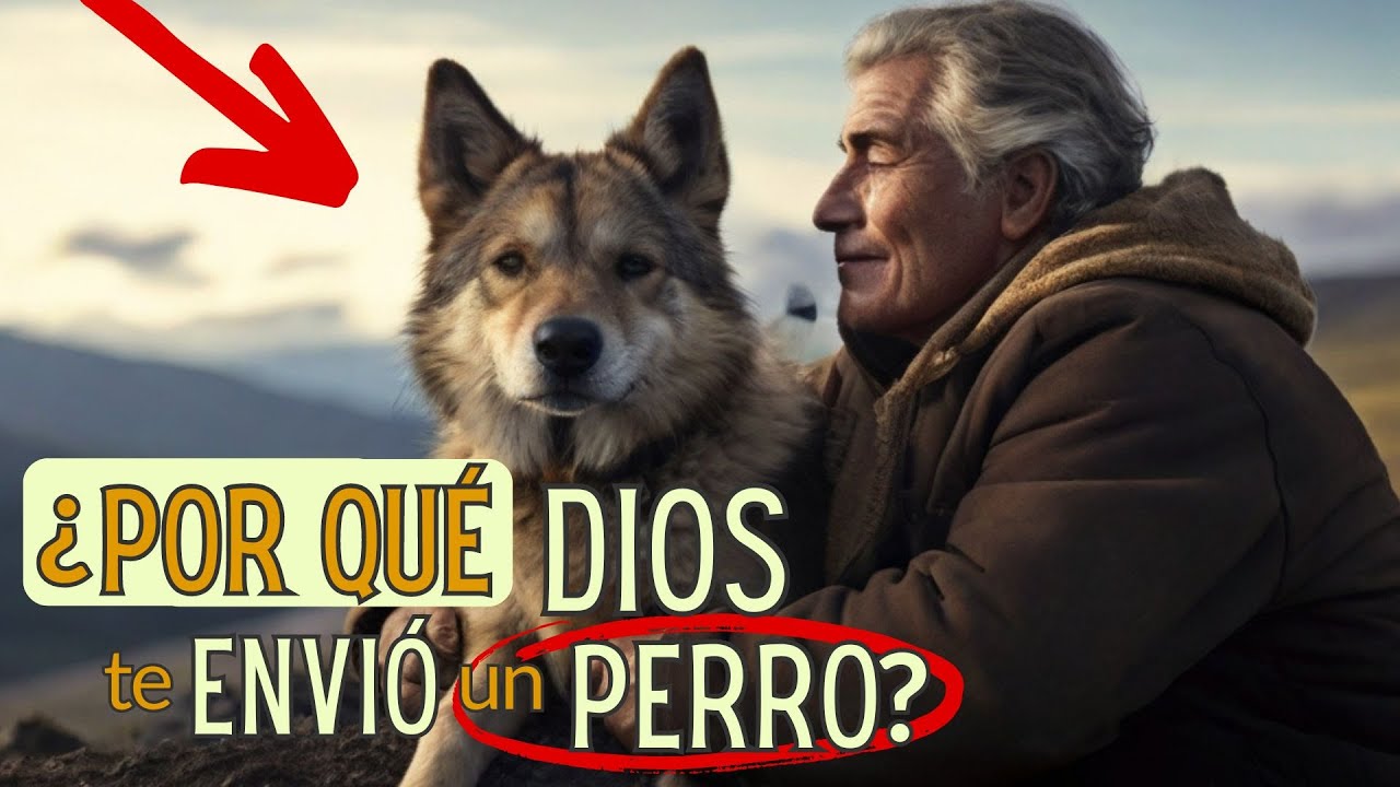 🐾 ¿POR QUÉ DIOS PUSO un PERRO en tu VIDA? DESCÚBRELO AQUÍ 🙏🐶