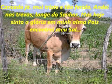 No Querer de Deus, Hinario Adventista Nº 283