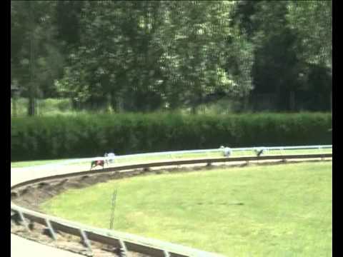 Magyar Derby 2011 magyar agár 1. előfutam 2. Rábapatona