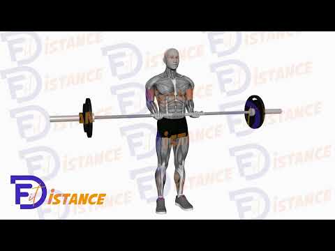 Curls barre droite ou EZ debout prise serrée - Exercice Curls barre droite ou EZ debout prise serrée en vidéo