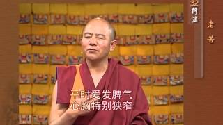 前行实修法（动画版 1-92修法） >> 第32修法：老苦
