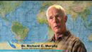 Ambassadors Of The Environment