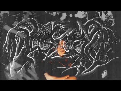 Aaskereia - Der schwarze Wald (mit Untertiteln)