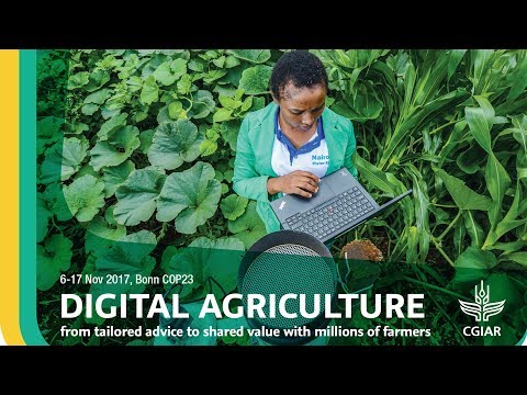 download lagu mp3 mp4 Shared Value Digital, download lagu Shared Value Digital gratis, unduh video klip Shared Value Digital