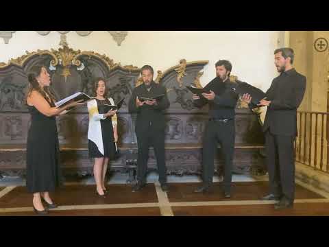 Harmonia - Santo, Fernando Lapa