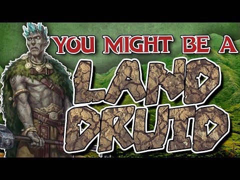You Might Be a Circle of the Land Druid | Druid Subclass Guide for DND 5e (2014)